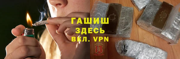 стаф Арсеньев