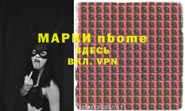 стаф Арсеньев