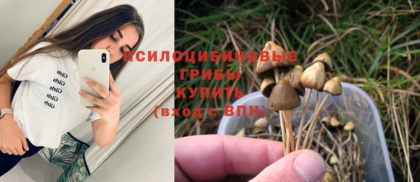 спиды Аркадак