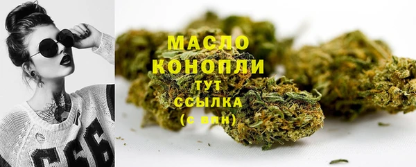 стаф Арсеньев