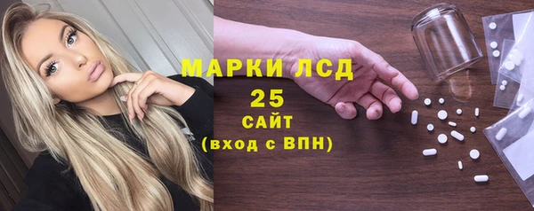 стаф Арсеньев