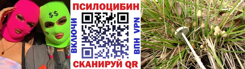 Галлюциногенные грибы Cubensis  что такое наркотик  Аша 